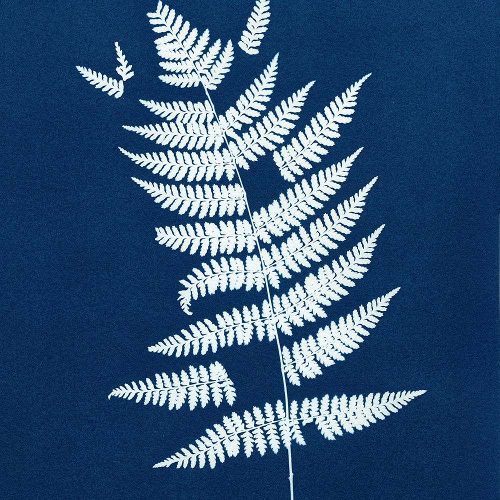 Linda Stillman