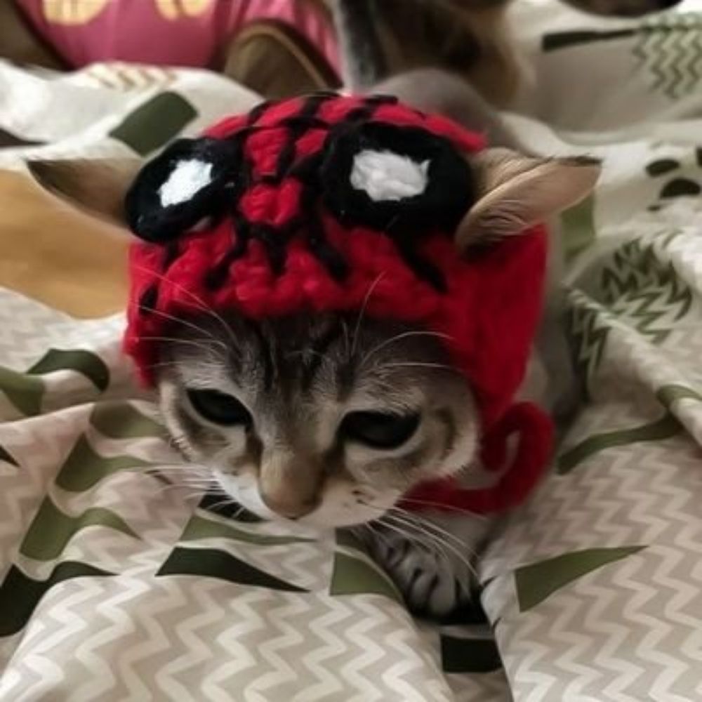 hana
