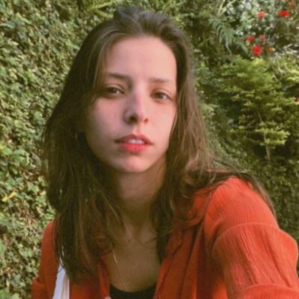 paloma