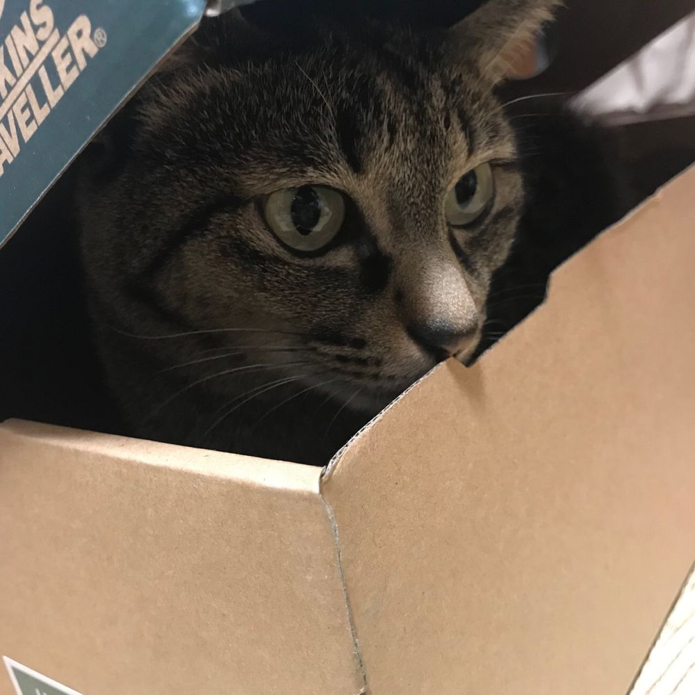 らくあ