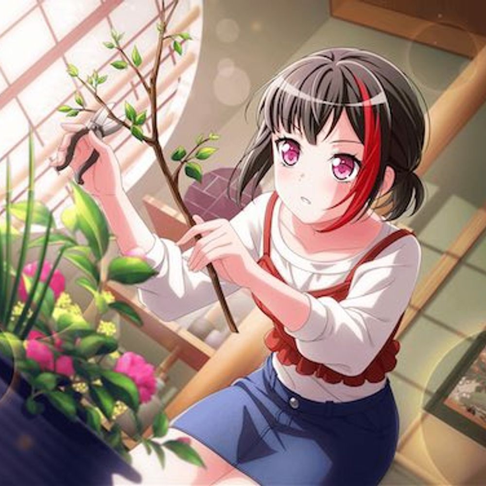 キュアみっちゃん@11.0