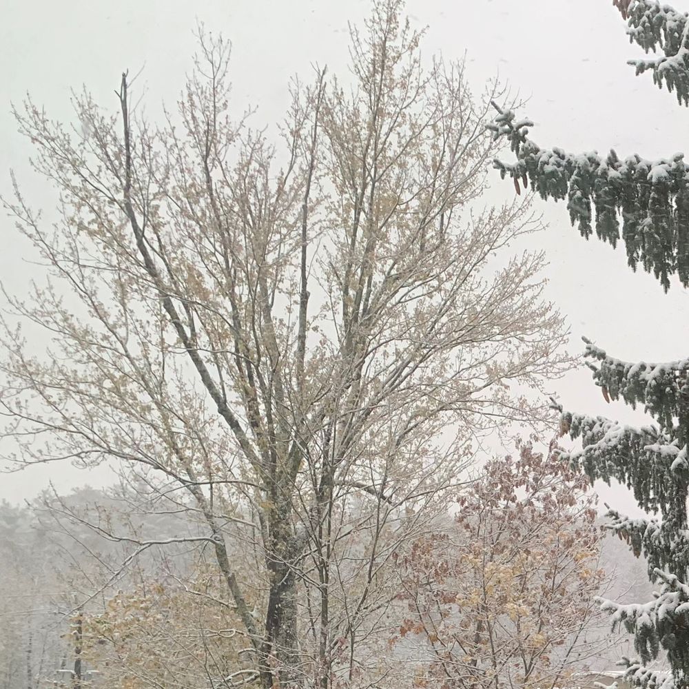 Snow