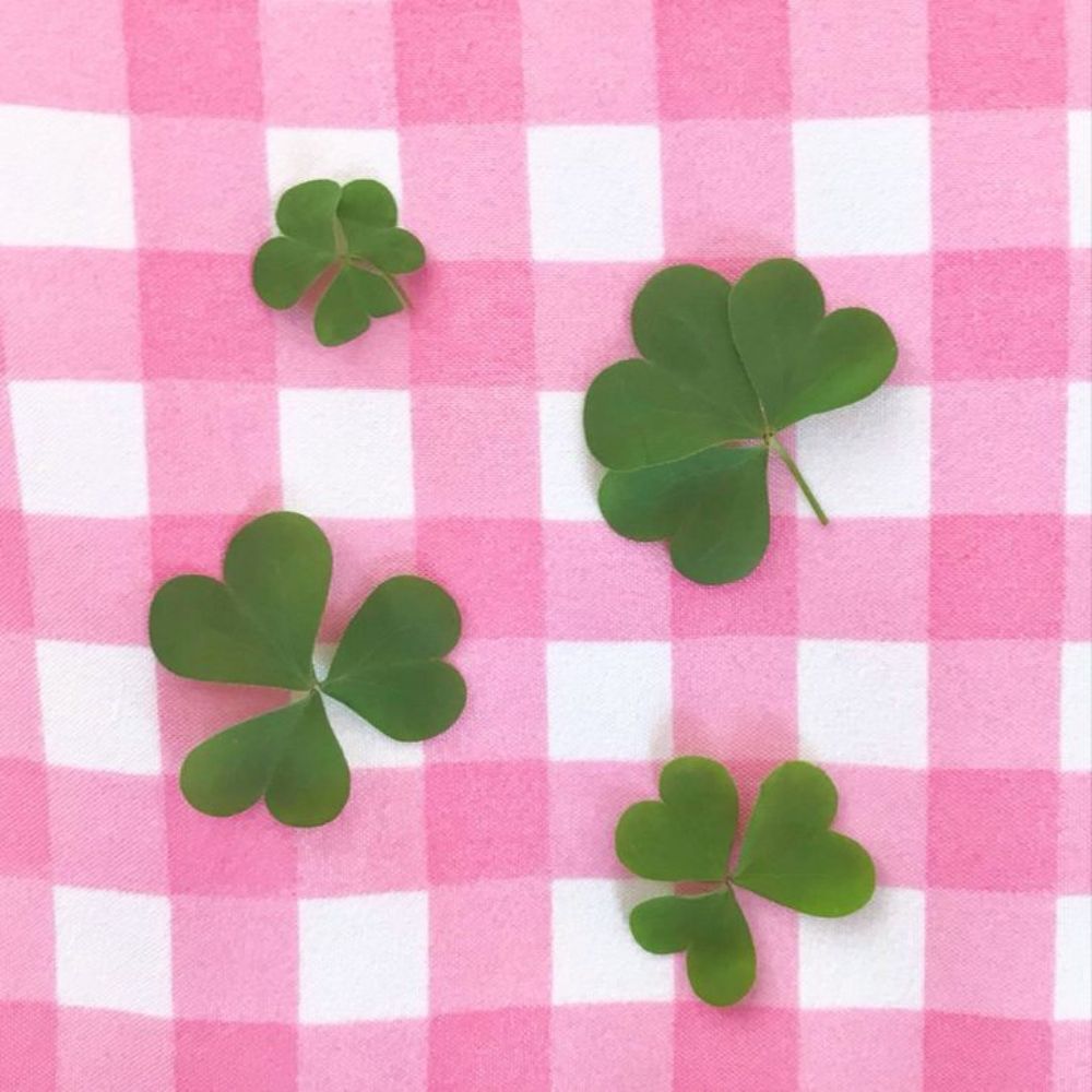 🍀
