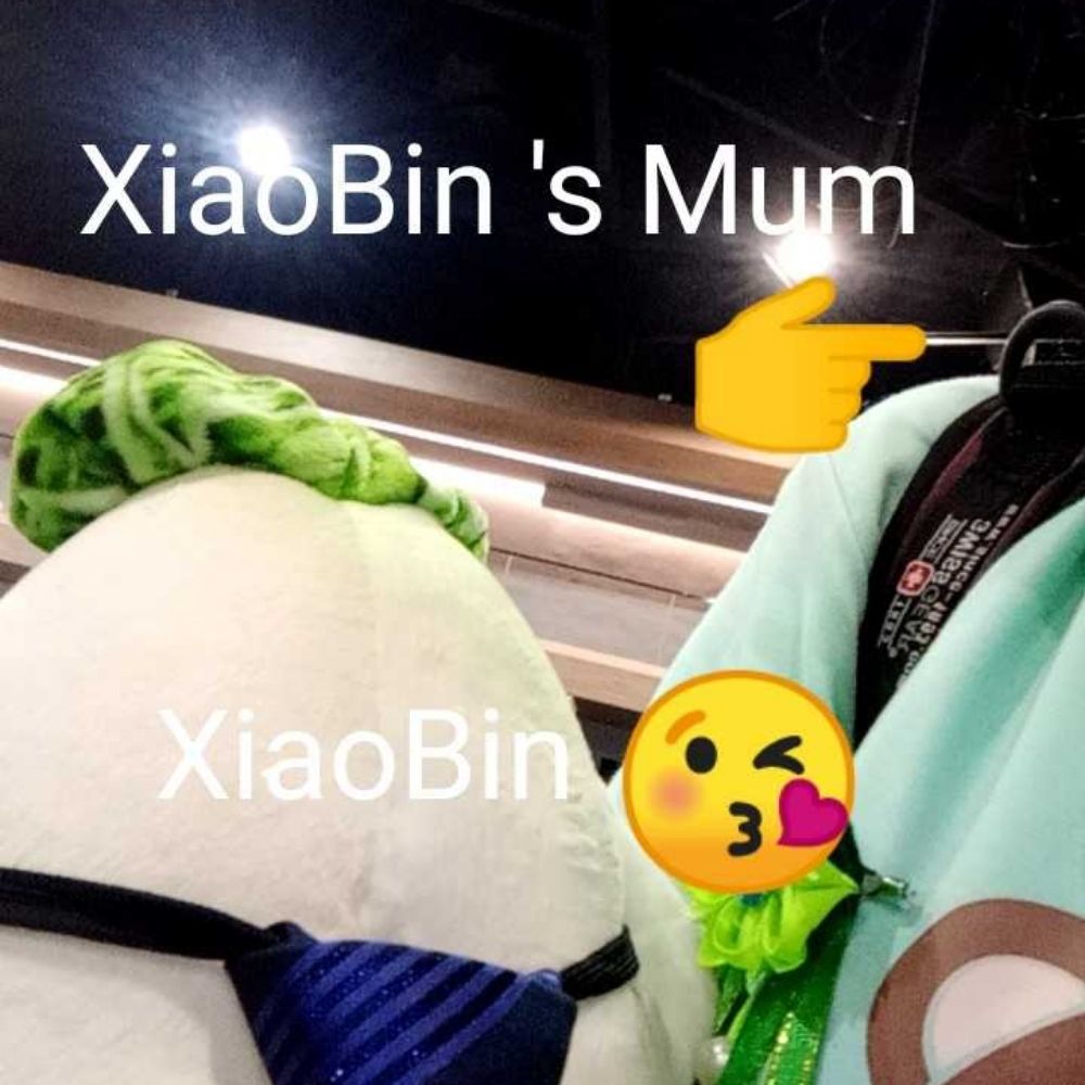 XiaoLanCheng รอ🐱คนงามกลับมา🧿🍀🌿