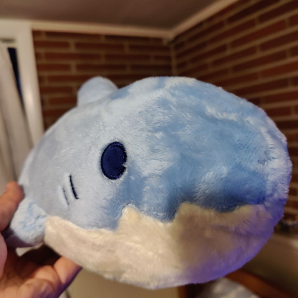 Sir Shark