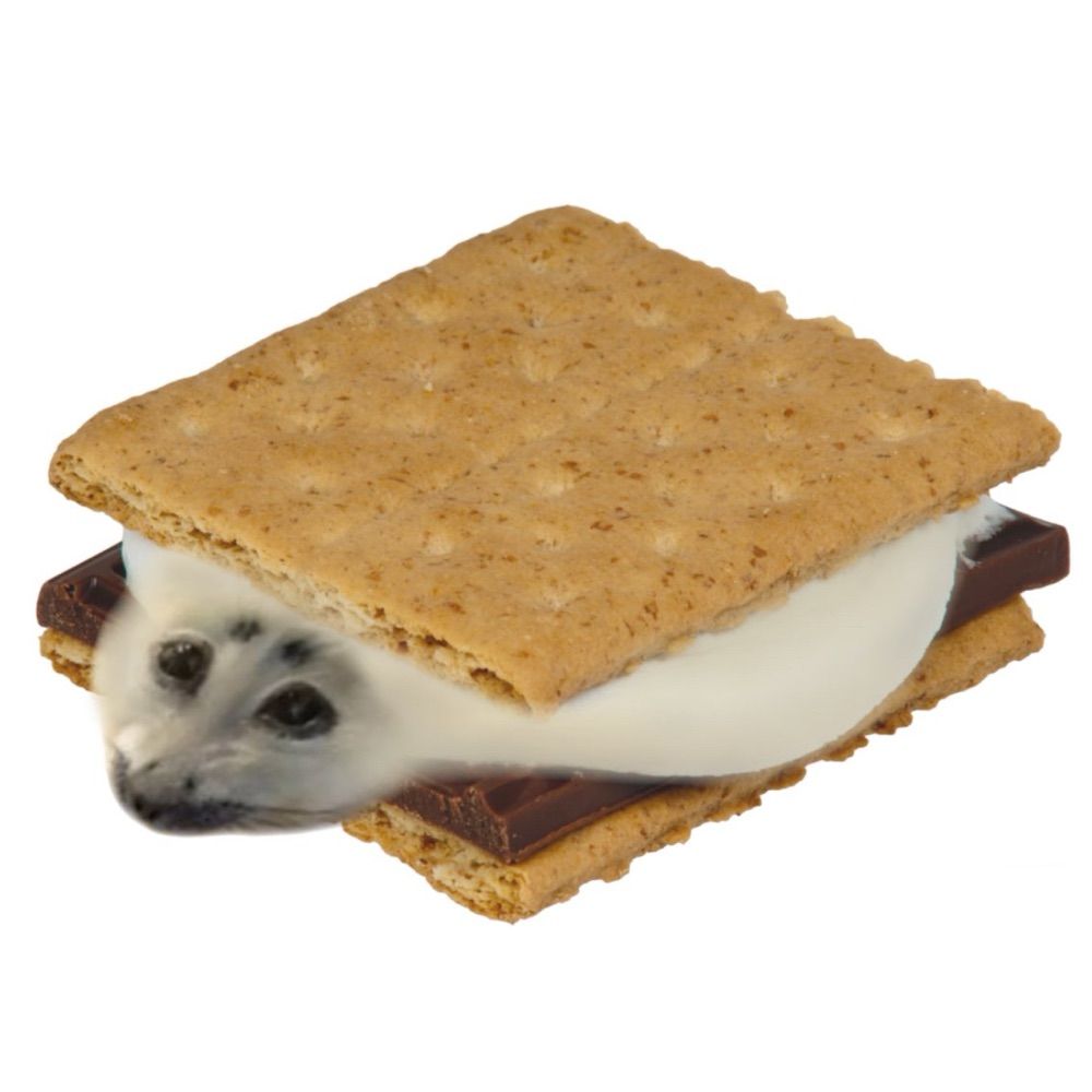 chewy