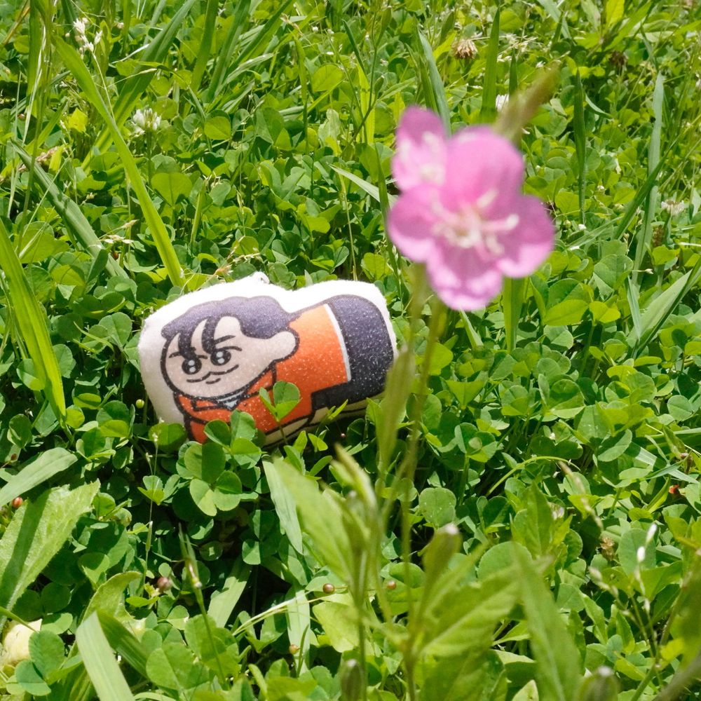 木々寸々