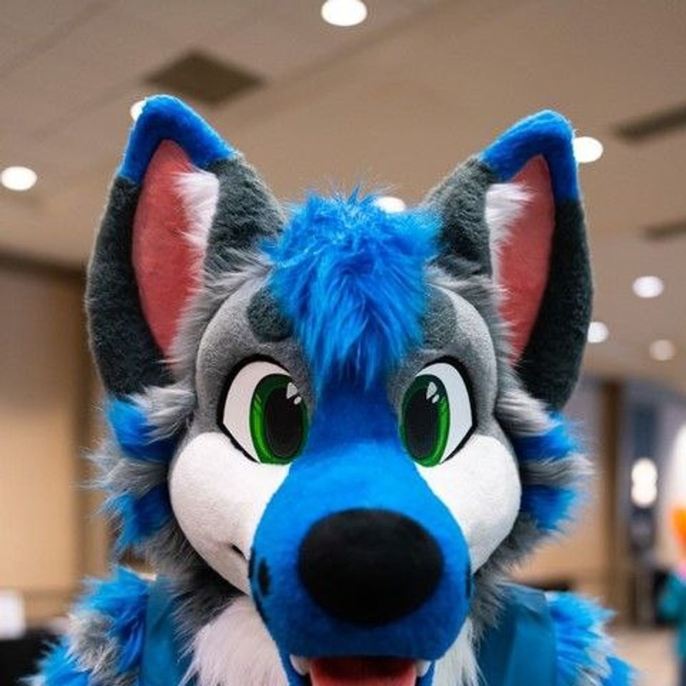 Jean Cookie Wolfie 