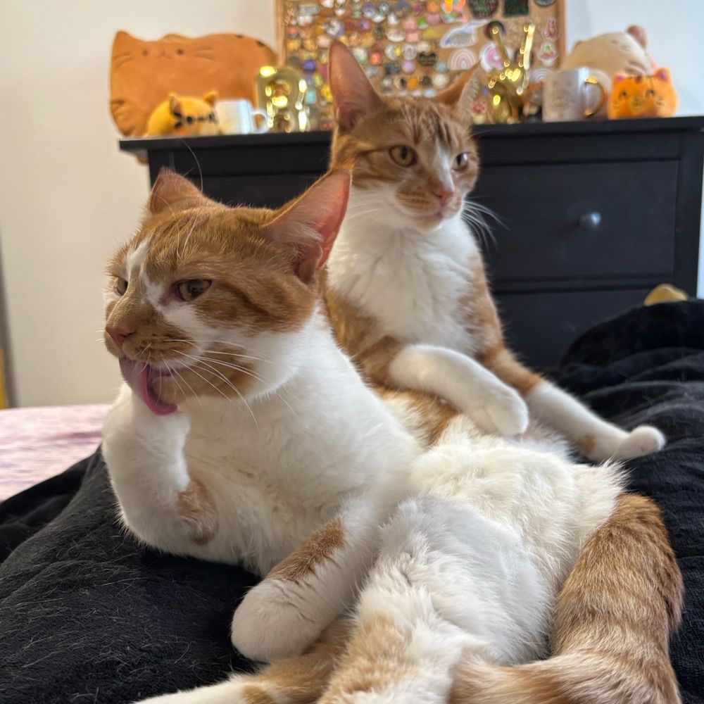 Peach & Pearl