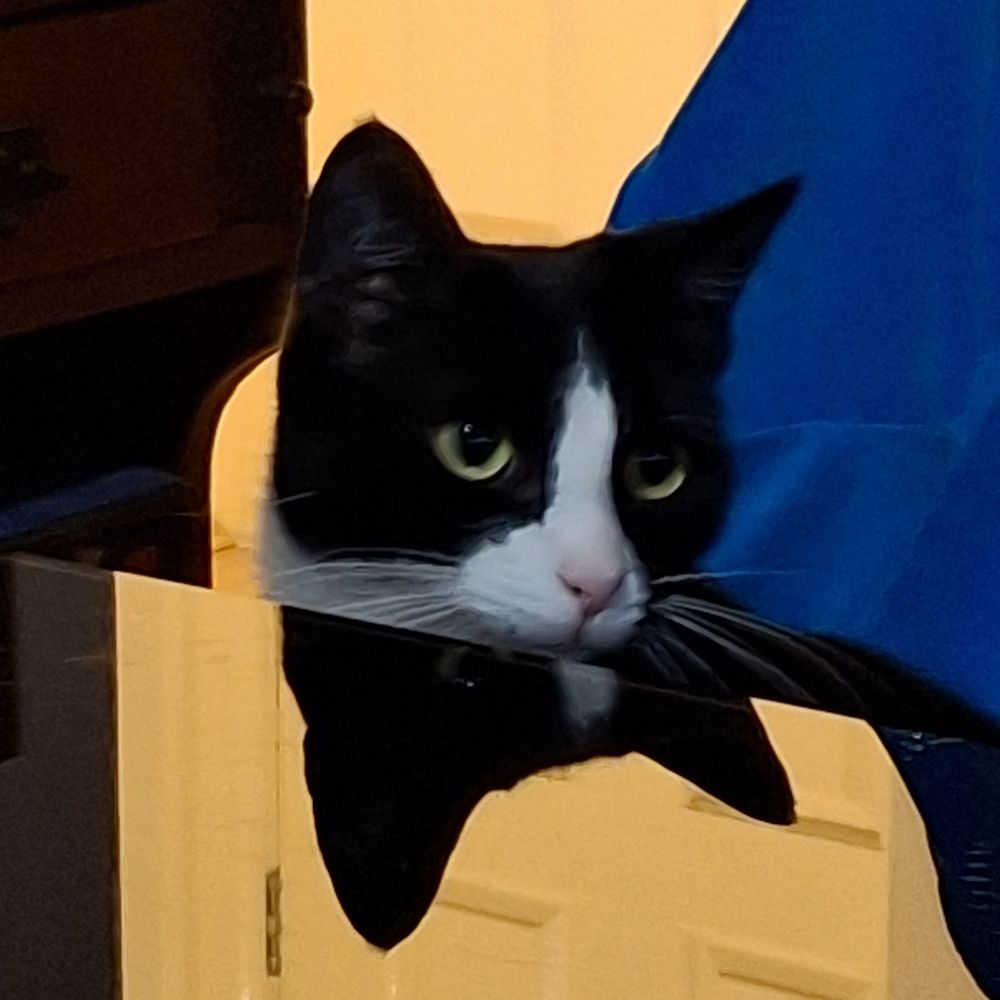Mozz