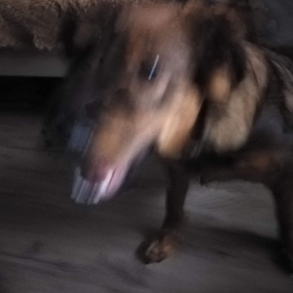 yoyo