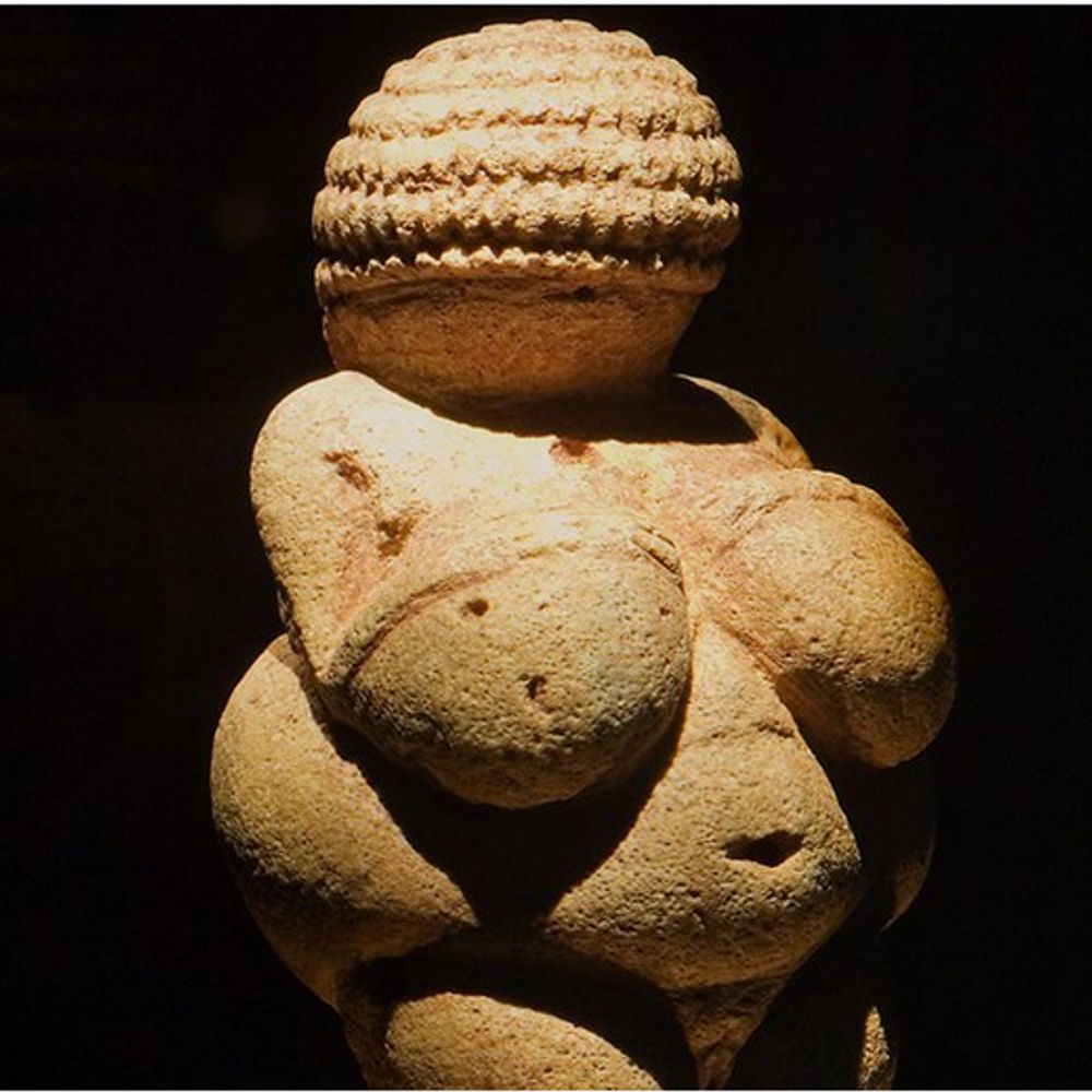 Future Human Evolution