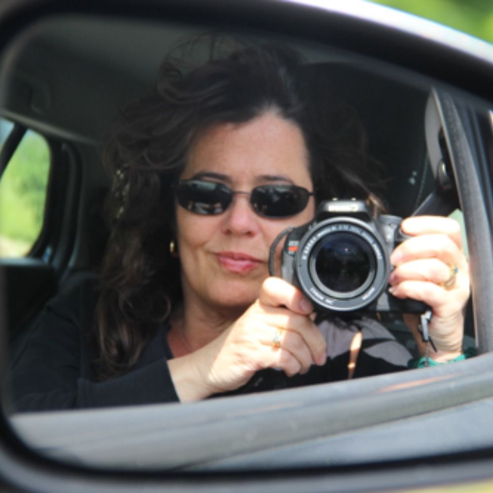 mfjphotography.bsky.social profile picture