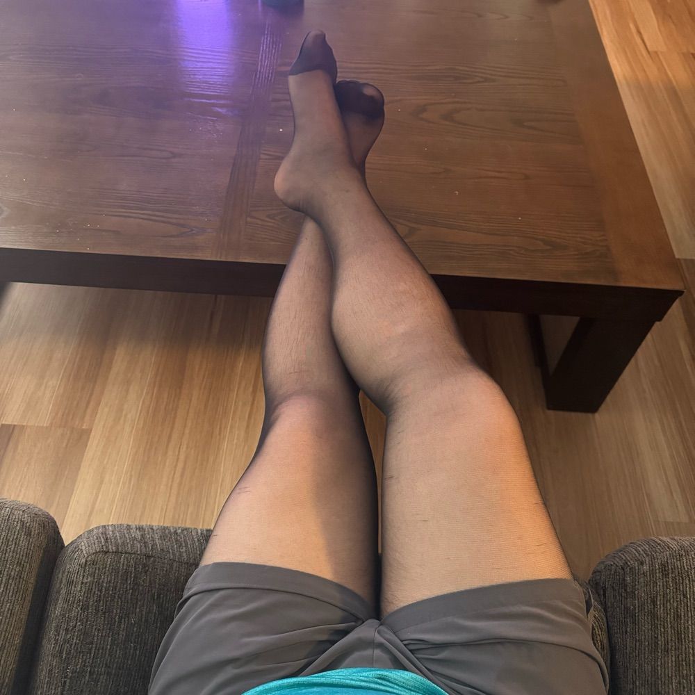 TheNylonBear