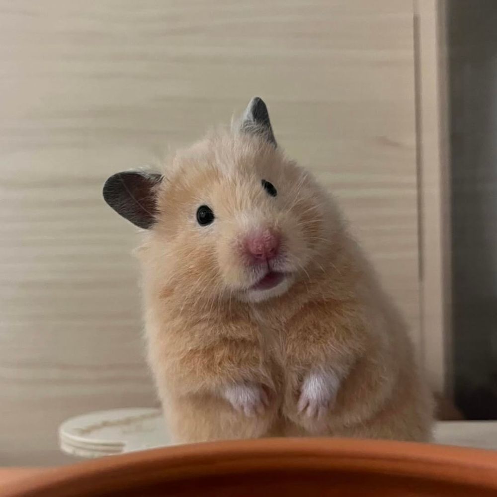 미지정