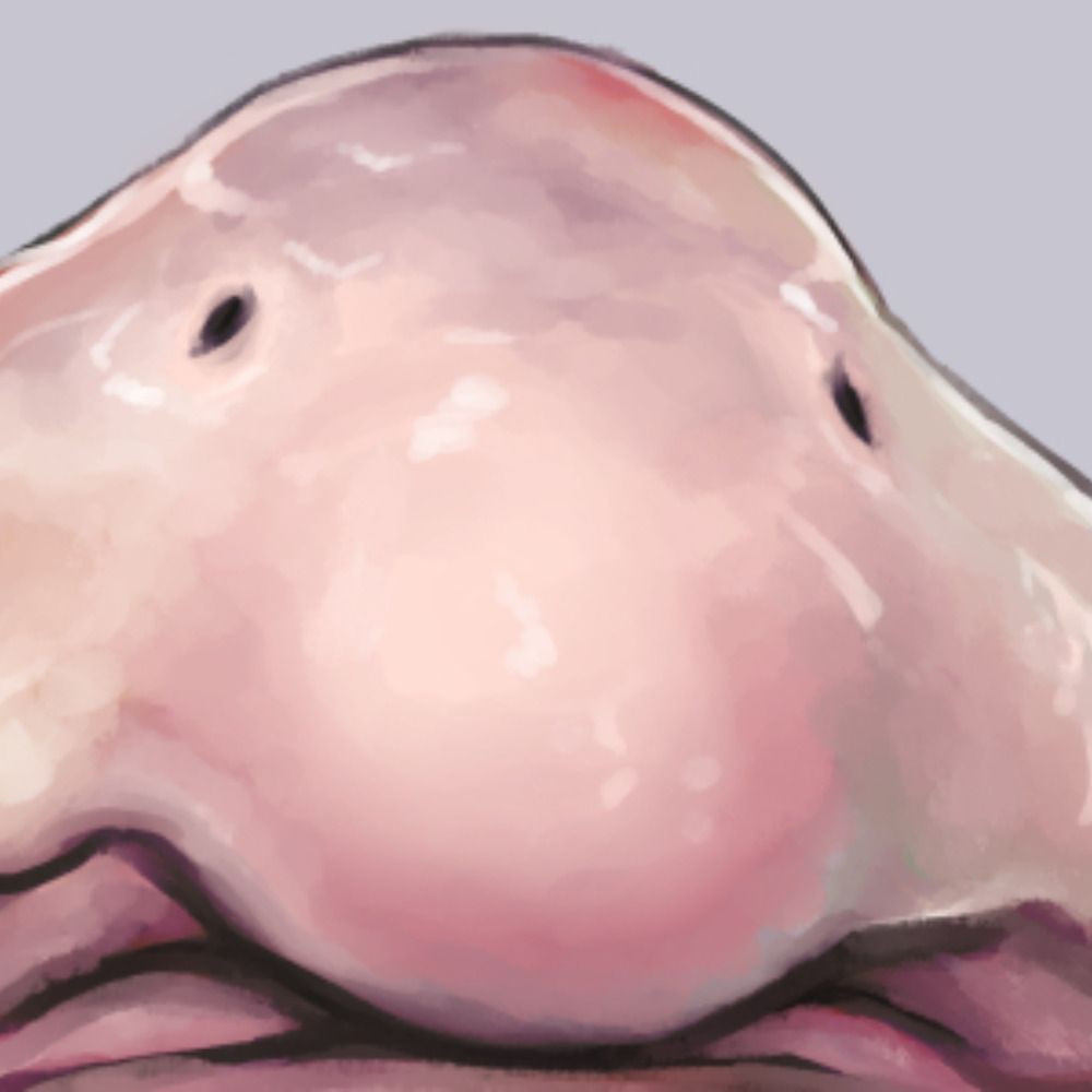 ぬじま