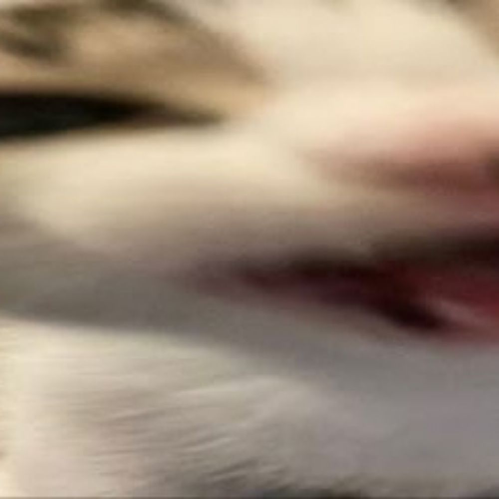 I.