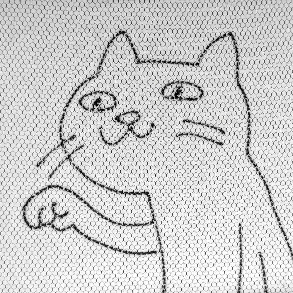 チコ