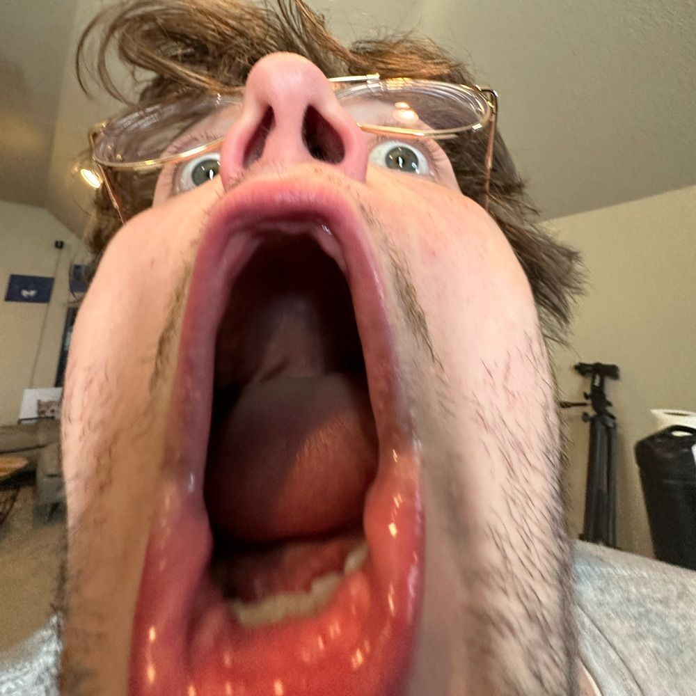 Sneegsnag