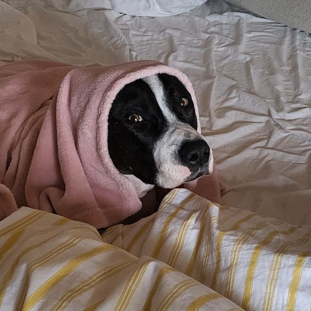 Meg🌷