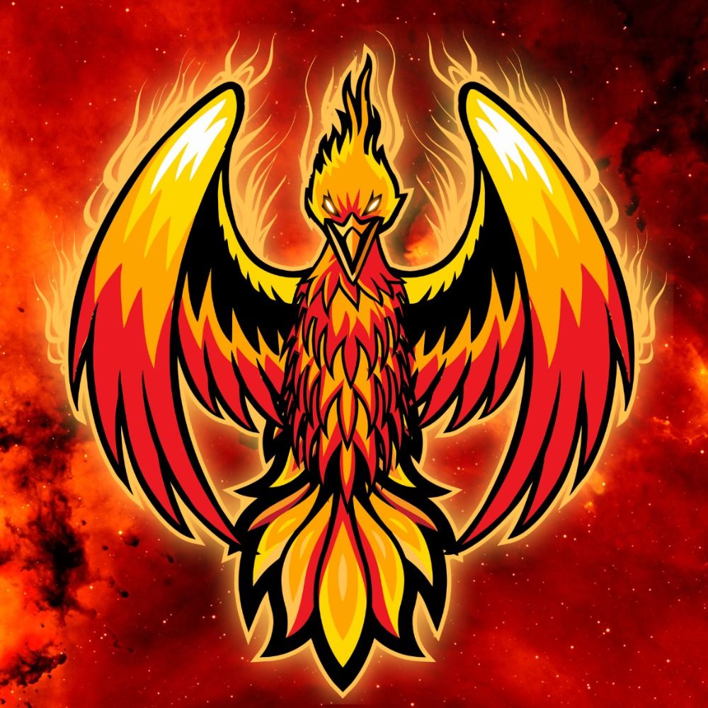 ElusivePhoenixX