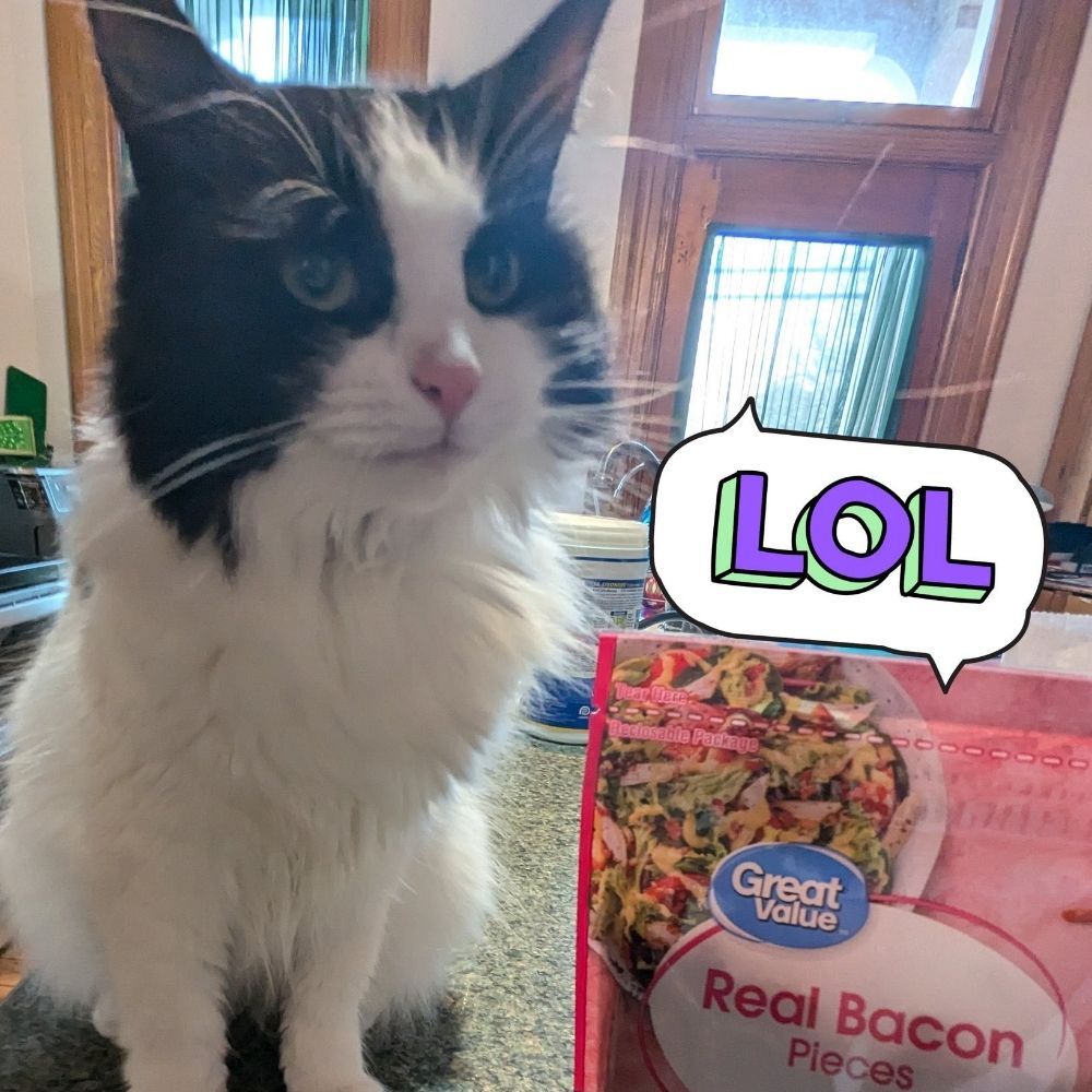 KitKat