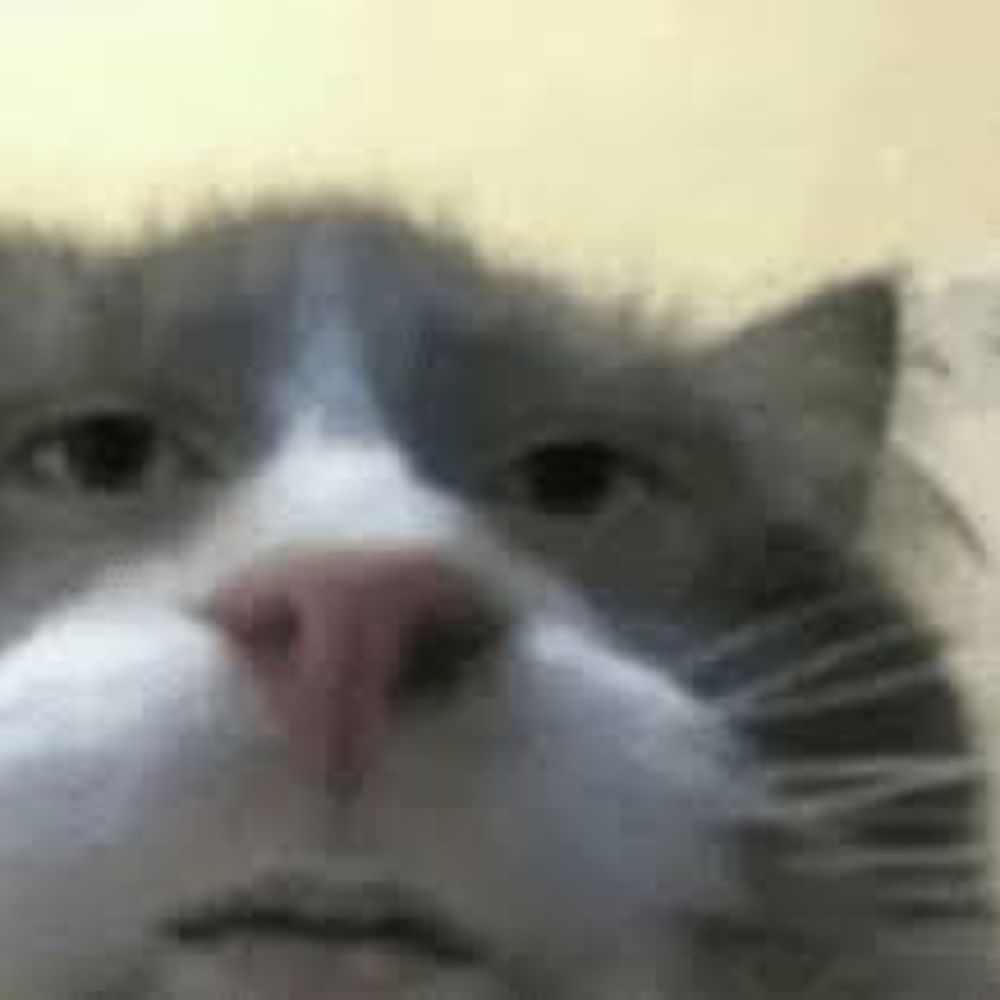 sneezes at you