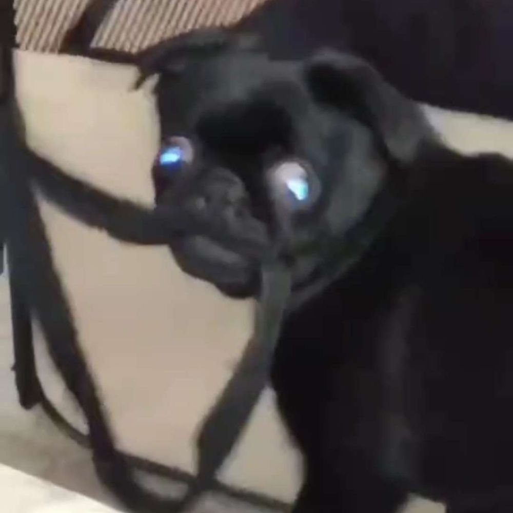 eatthetest