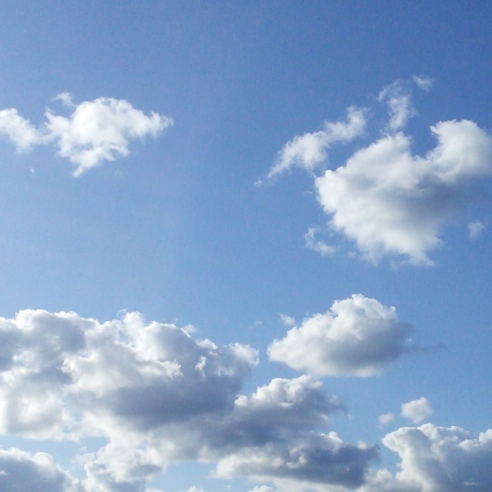 空き地