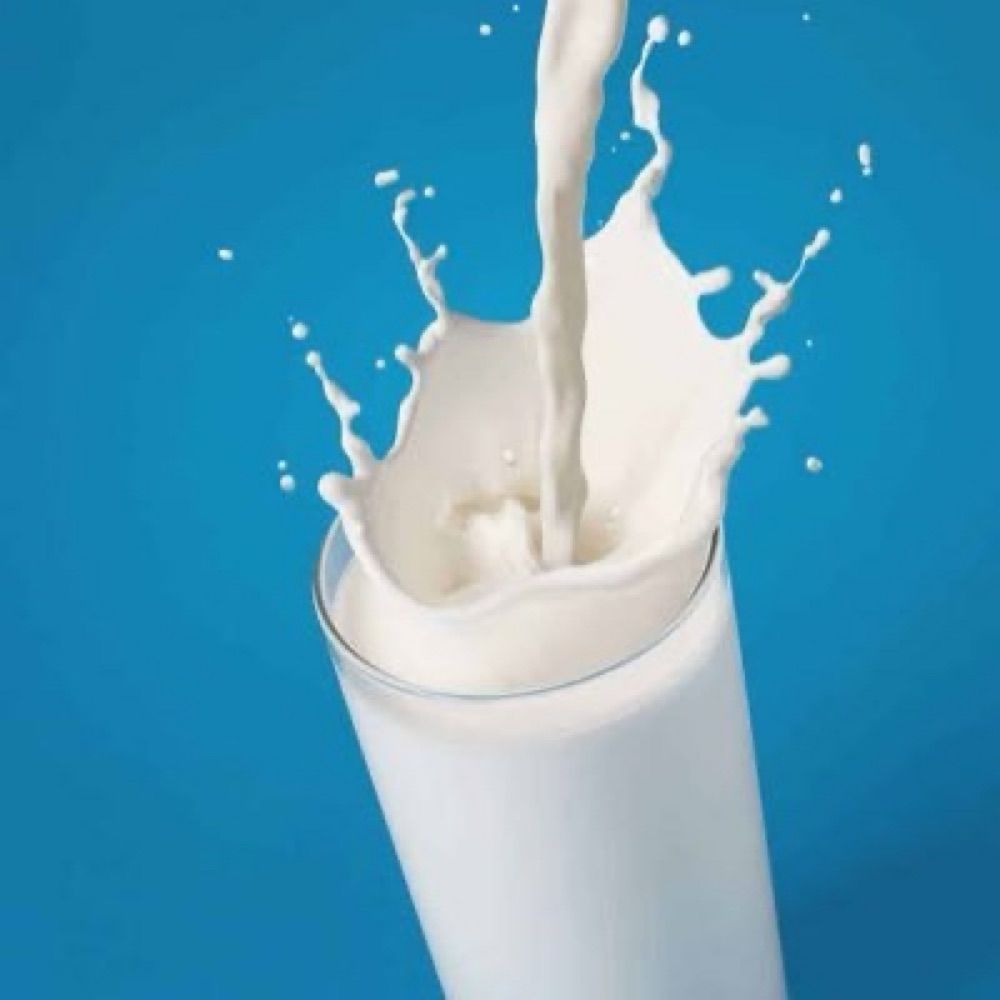 CEBU MILKER OFFICIAL