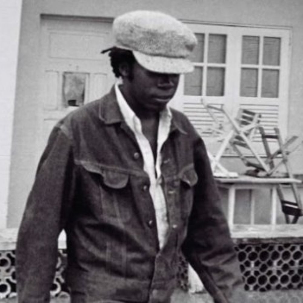 gio cérebro bobo