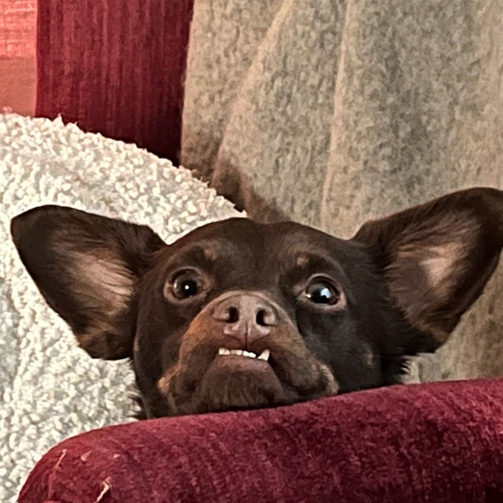 Bonnie