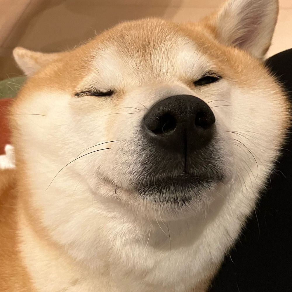 てゃ！！！