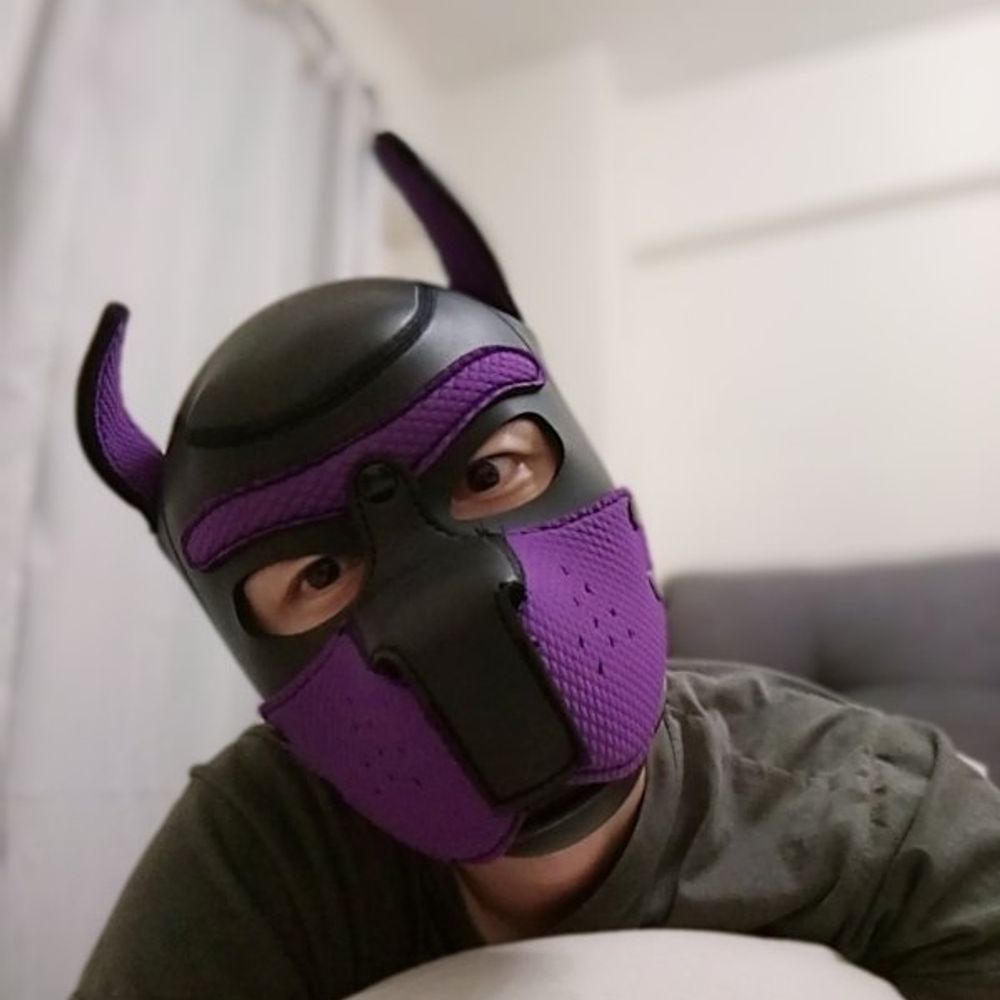 Pupfeng