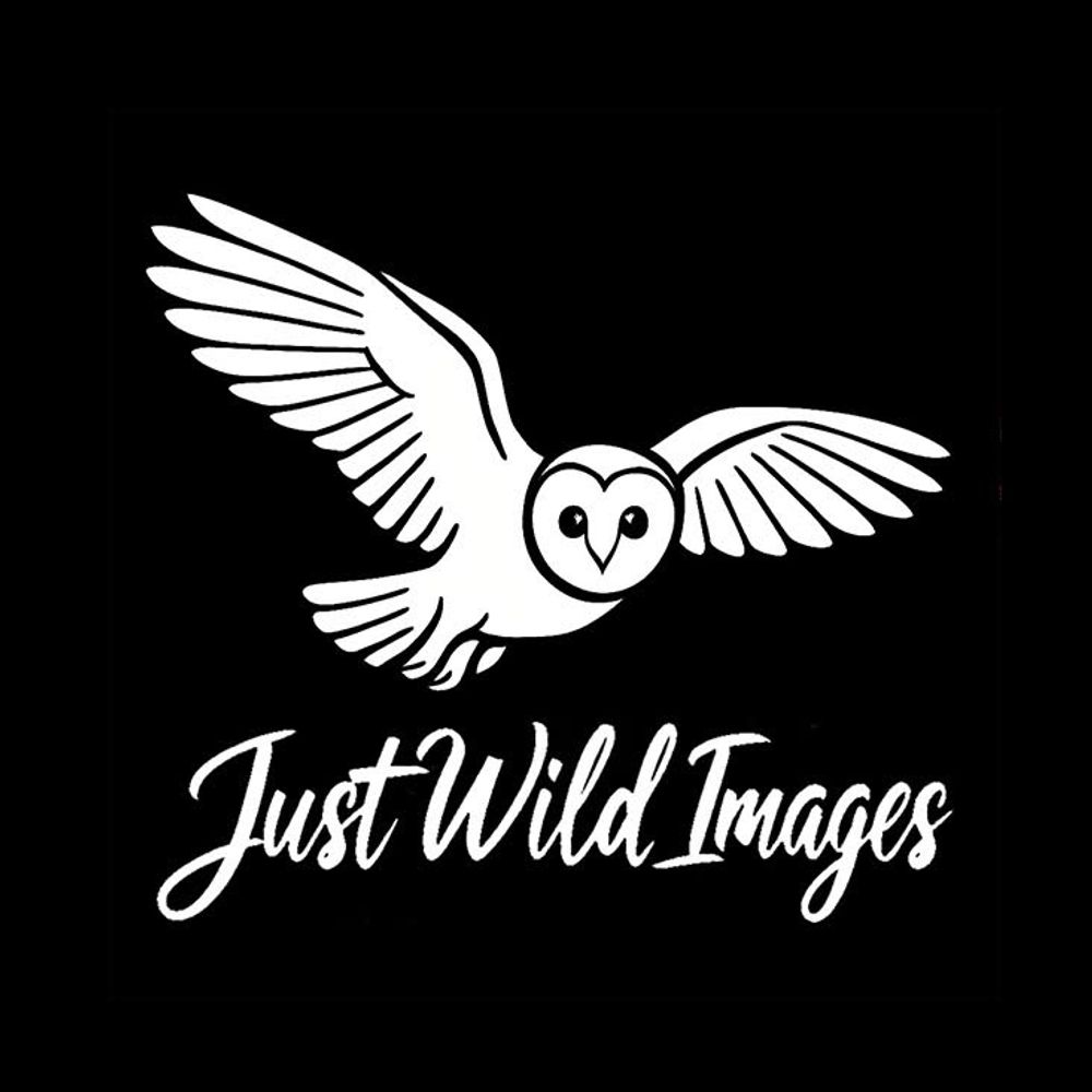 Will Bowell- Just Wild Images