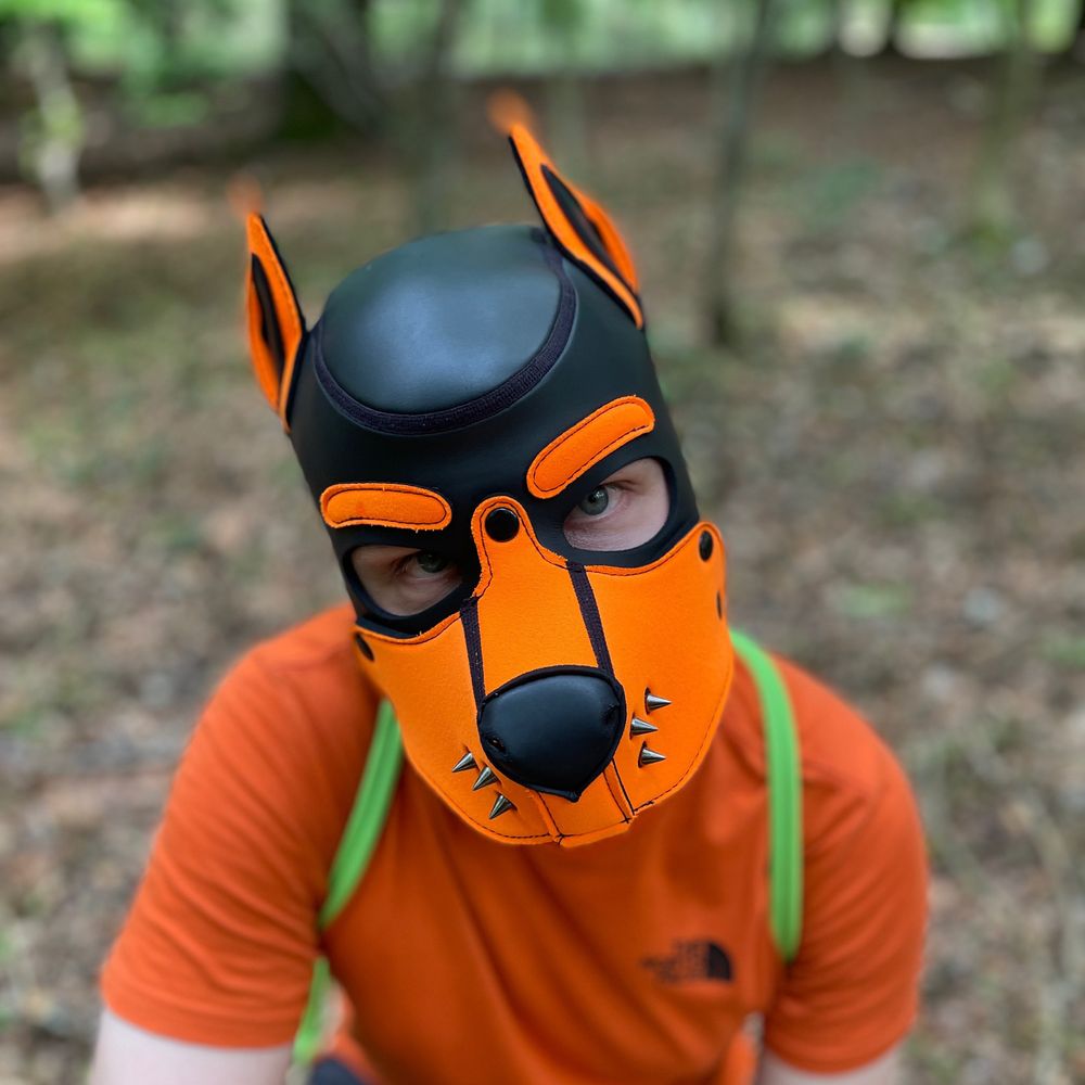 PupNeo's avatar