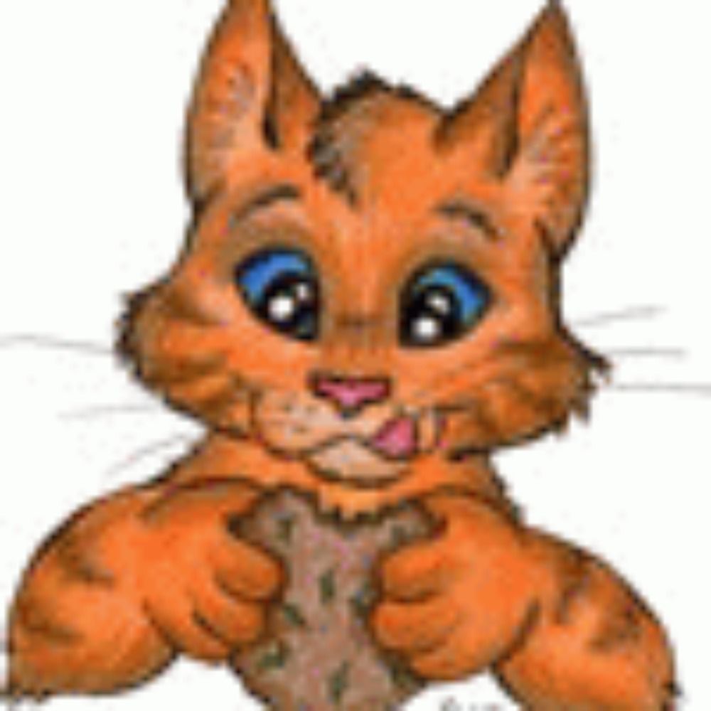 TiggyCat