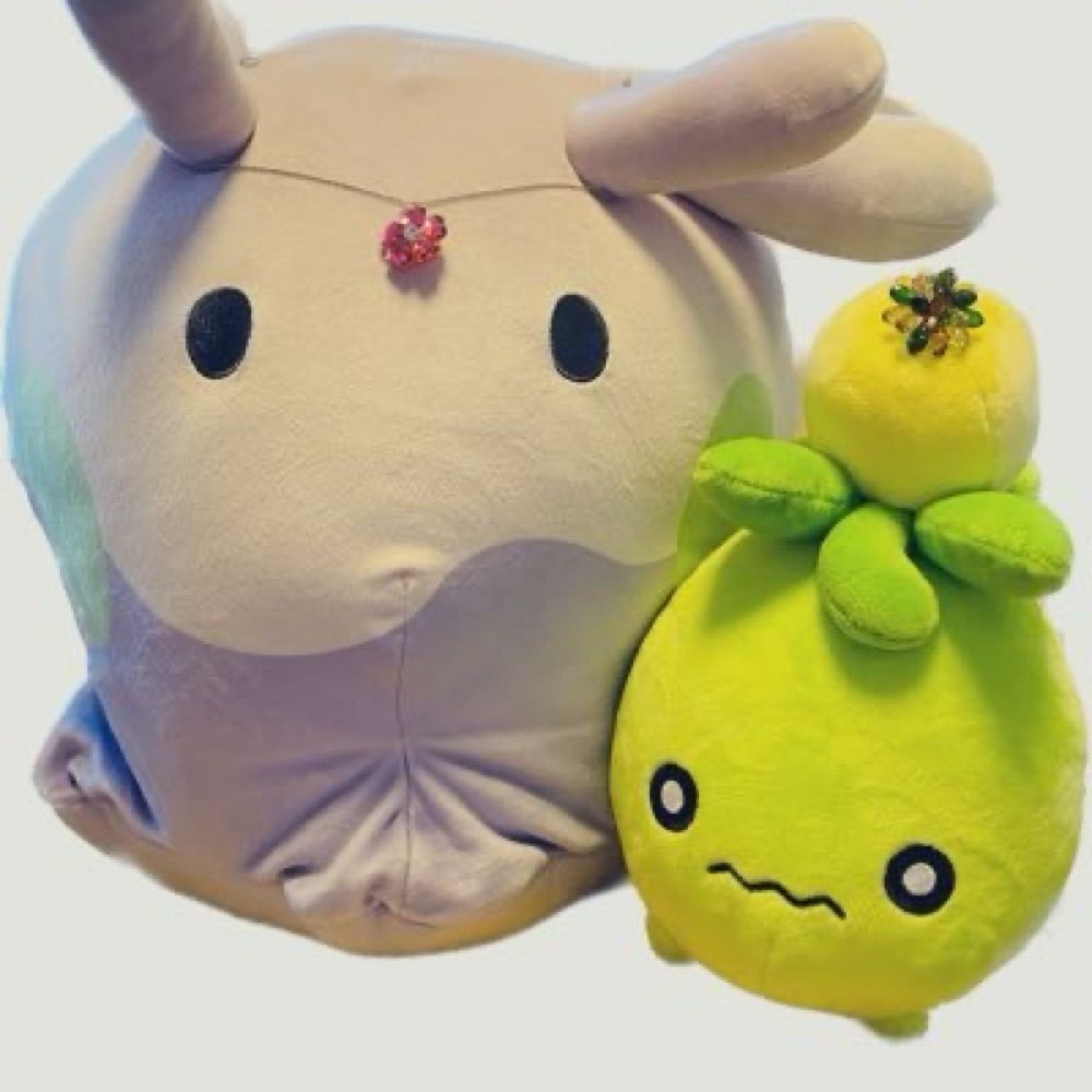 みにぬめ