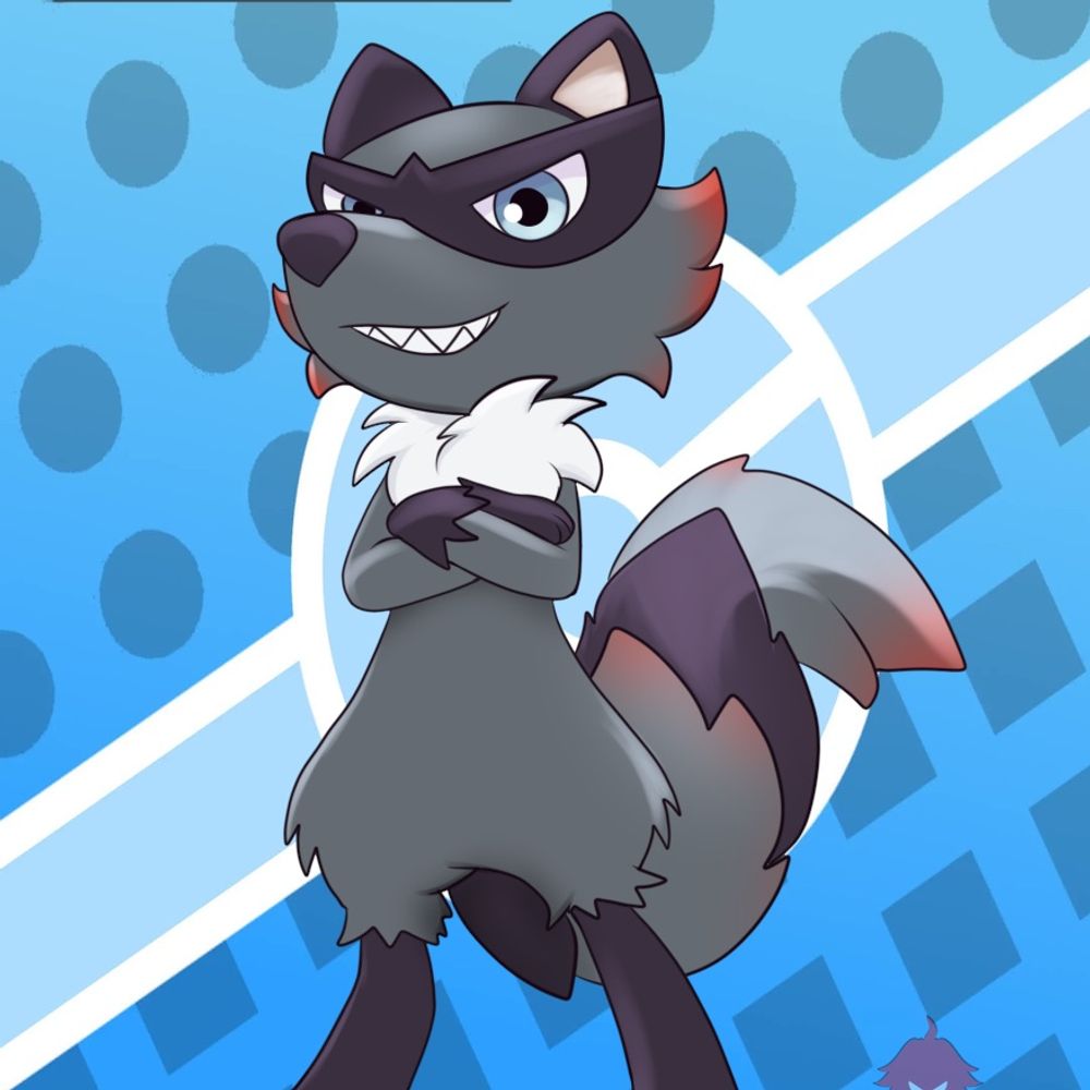 Acre Raccoon