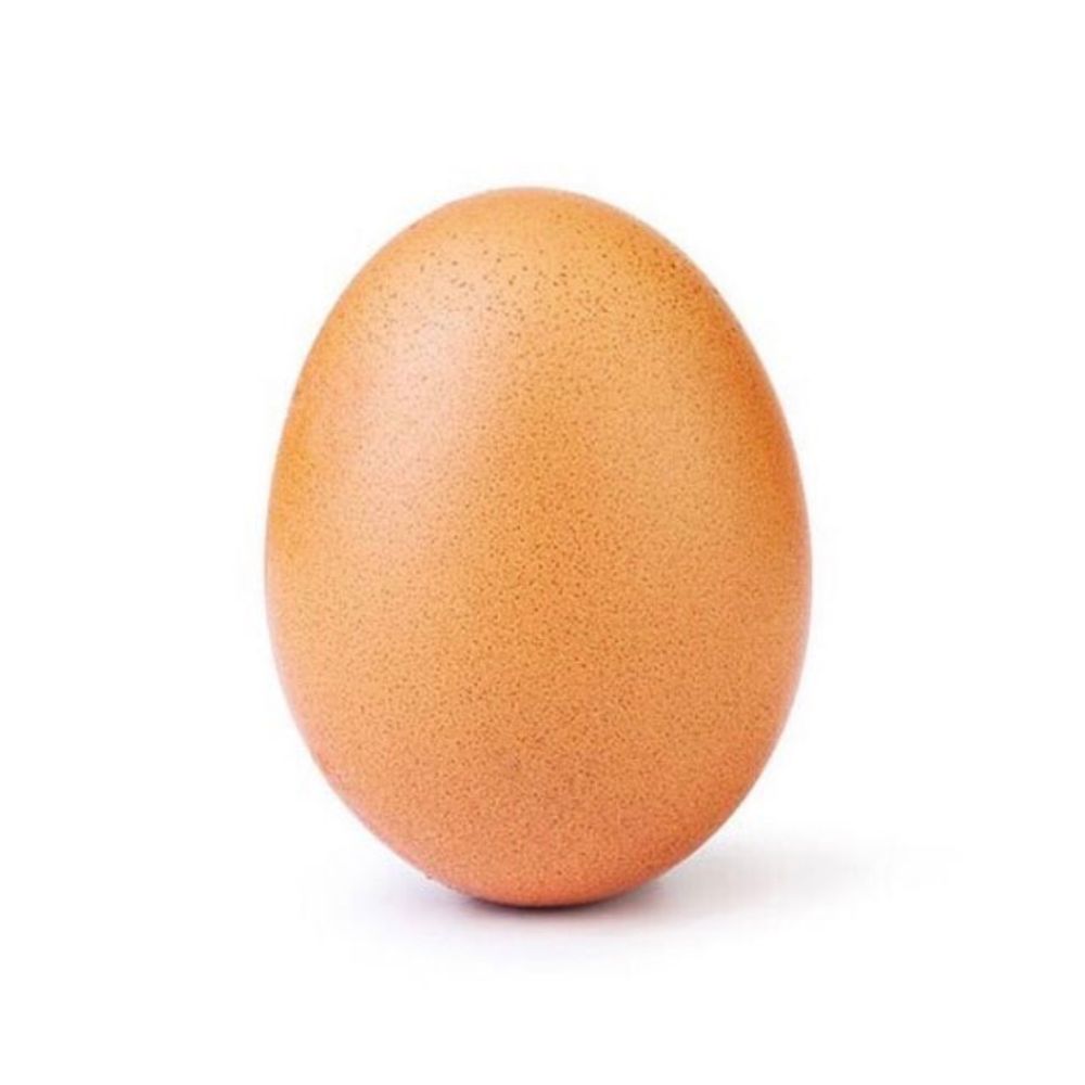 eggchan