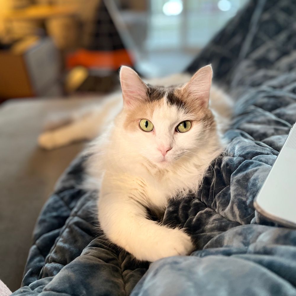 Jen 