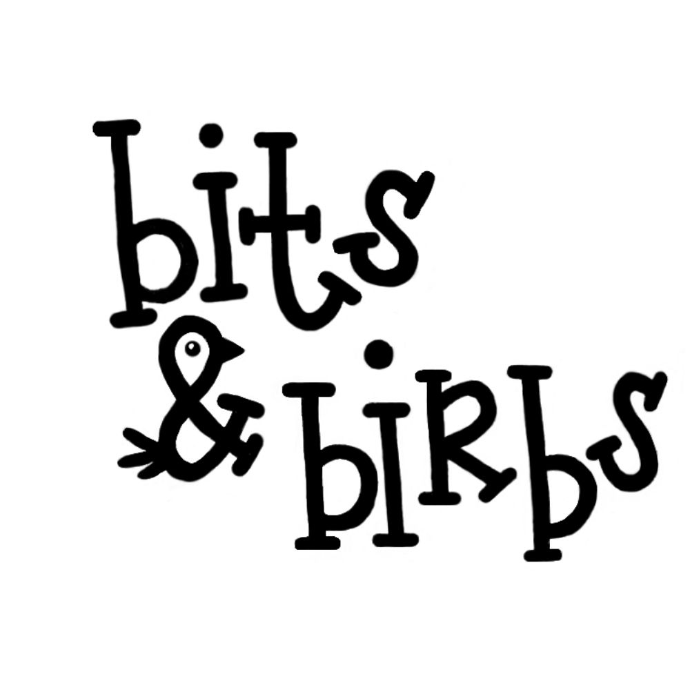 bits & birbs by Natalie Kahoe