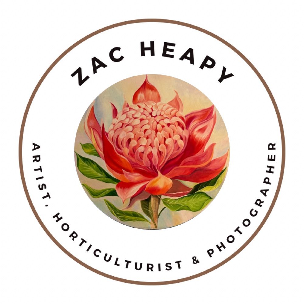 Zac Heapy | Oil Painter