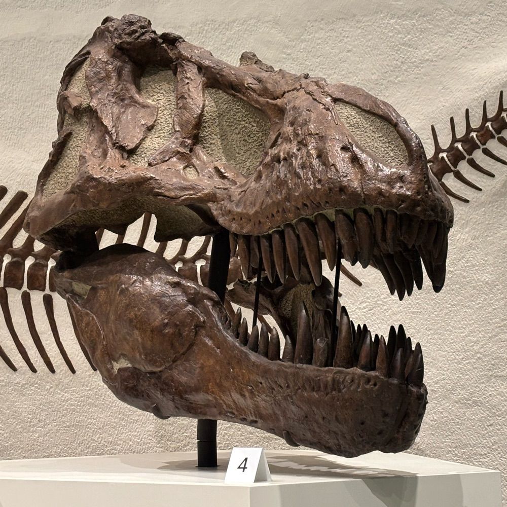 astoria21.bsky.social