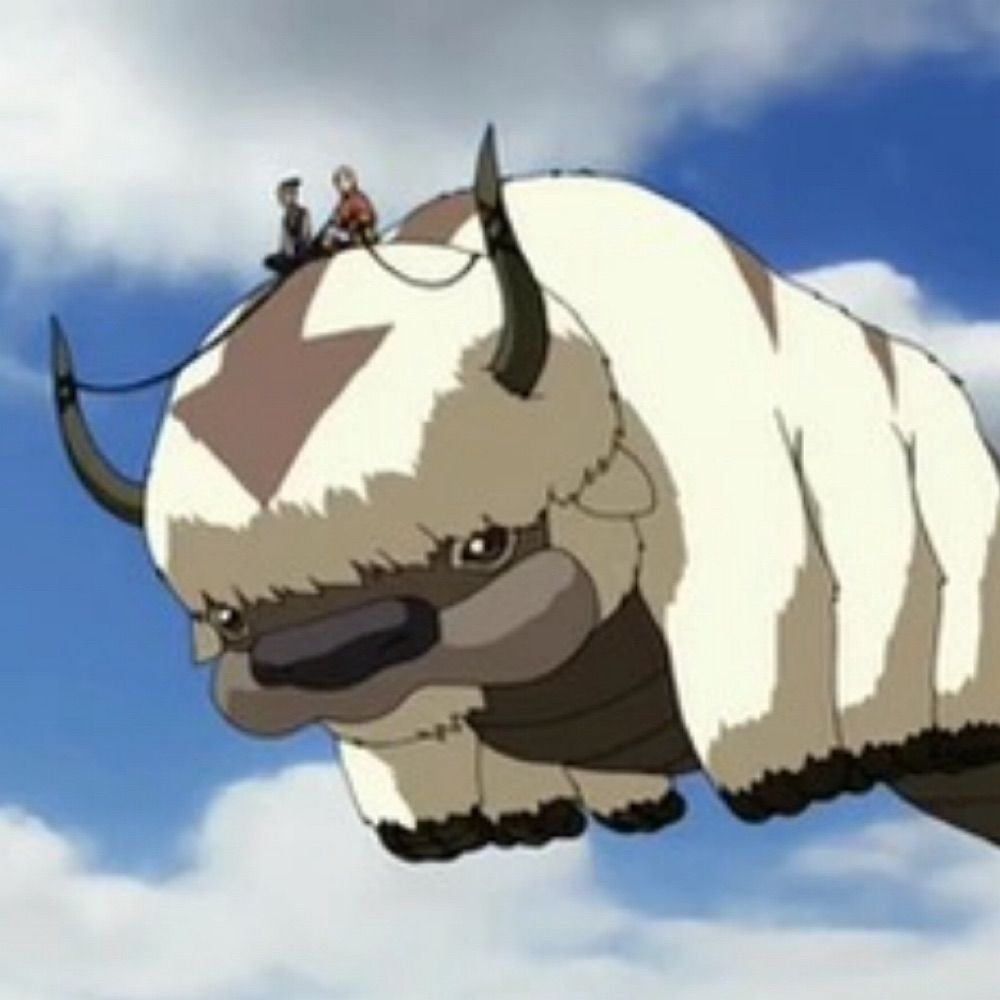 Appa