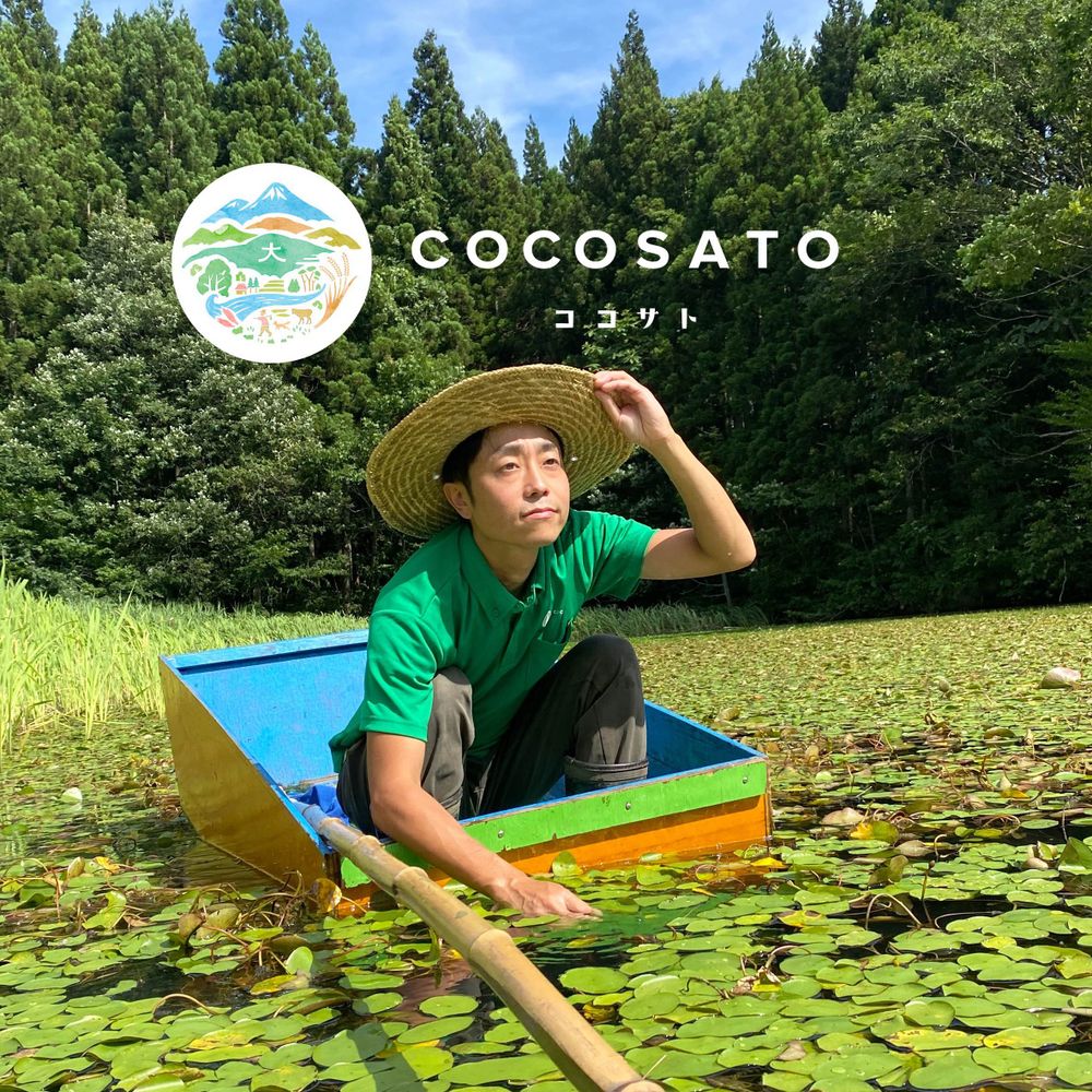 阿部彩人（COCOSATO）