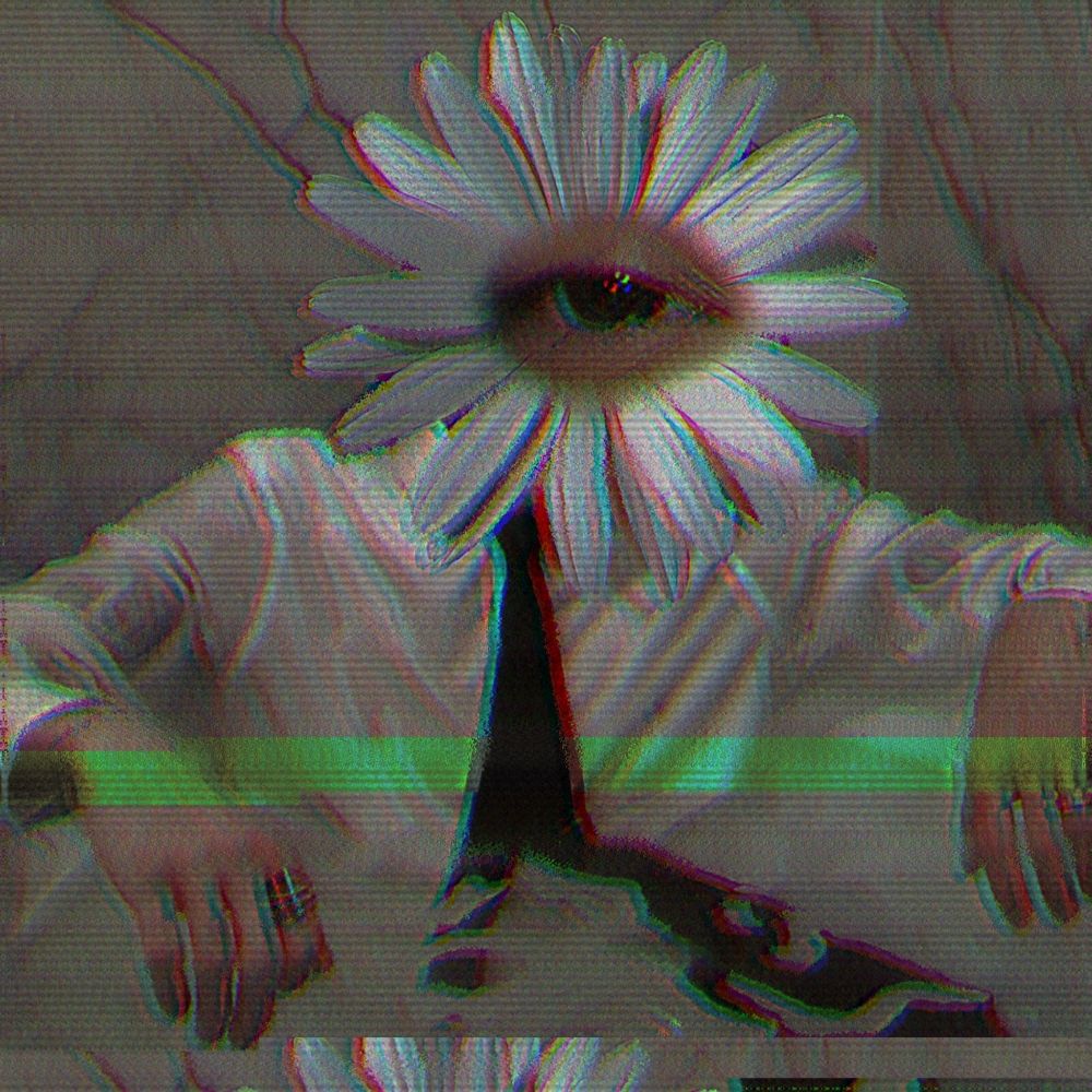 Daisy (He/Him)