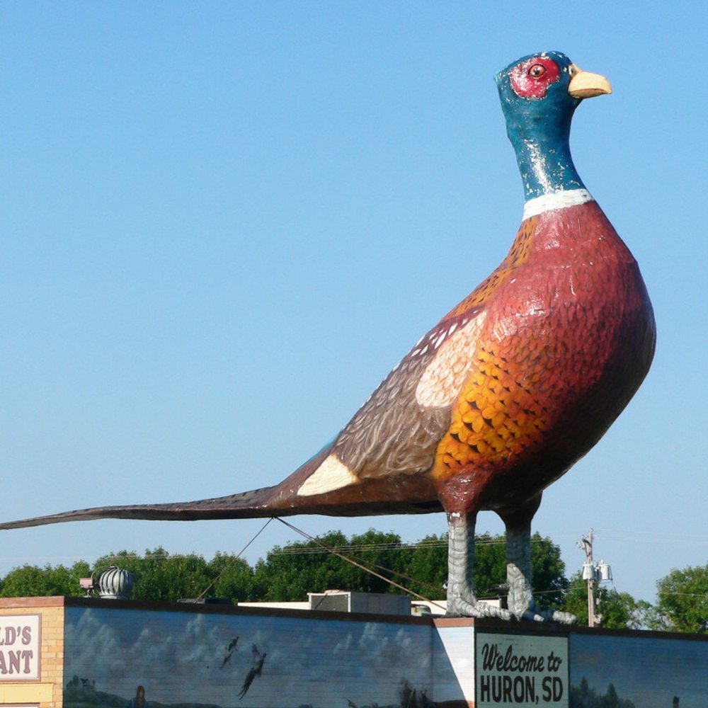 Huron Plainsman