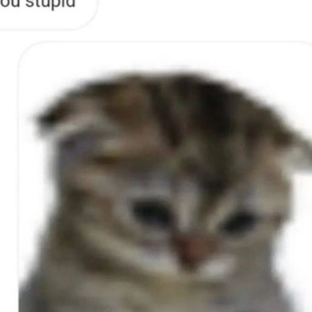 izz
