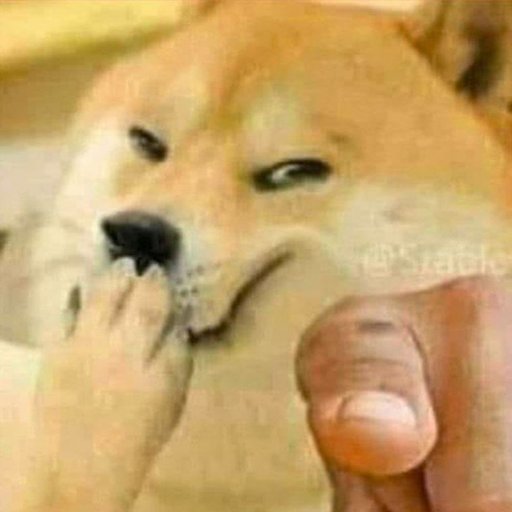 Doggo